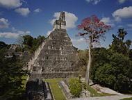 Mayan Temple I at Tikal Ruins - tikal mayan ruins,tikal mayan temple,mayan temple pictures,mayan ruins photos